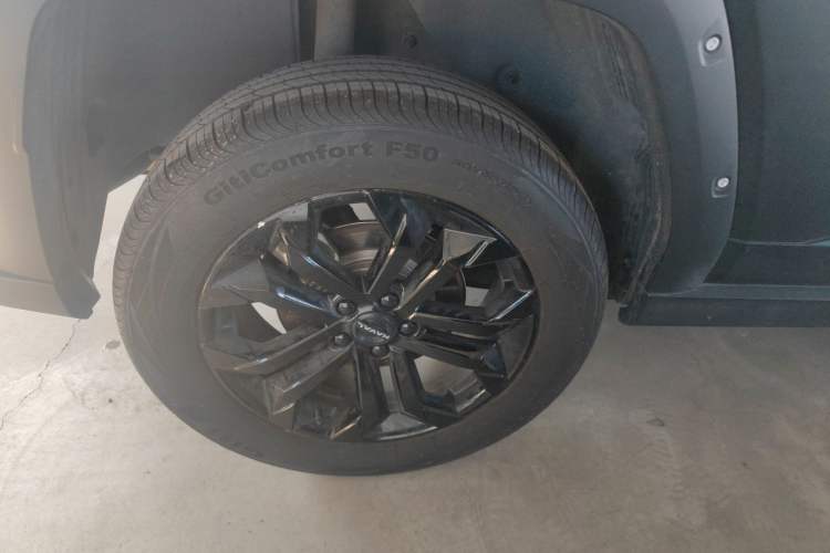 Used Haval H Dog 2023 1.5T Two-Wheel Drive Chao Ye Version Plus
