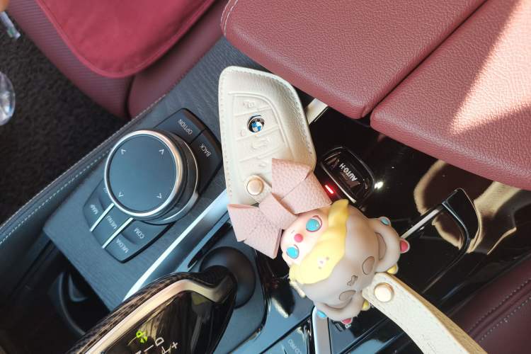 Used BMW 5 Series 2021 530Li Luxury Edition M Sport Package
