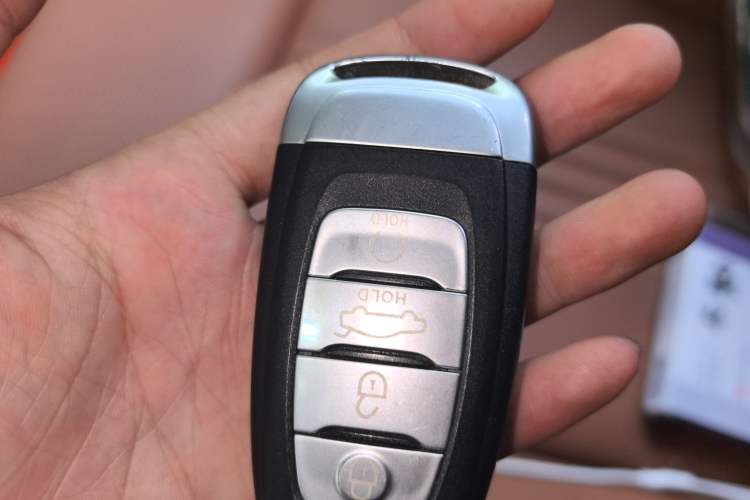 Used Hongqi H9 2020 2.0T Smart Connect Flagship Edition
