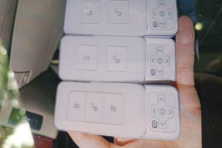 Used BYD Tang New Energy 2018 DM 2.0T All-Wheel Drive Smart Connect Elite 7-Seater China V Emission Standard
