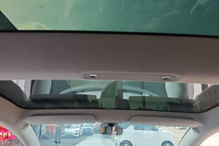 Used Tesla Model 3 2021 Revised Performance Version with All-Wheel Drive 3D1 Headliner