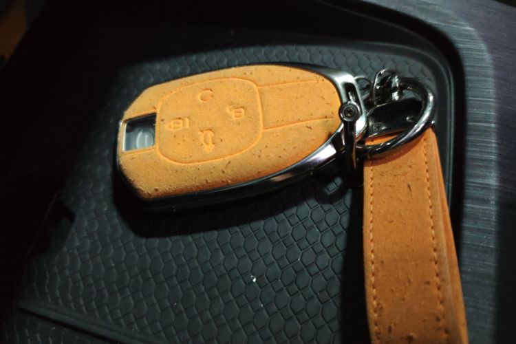 Used GAC Trumpchi ES9 2024 PHEV 143km Max+
