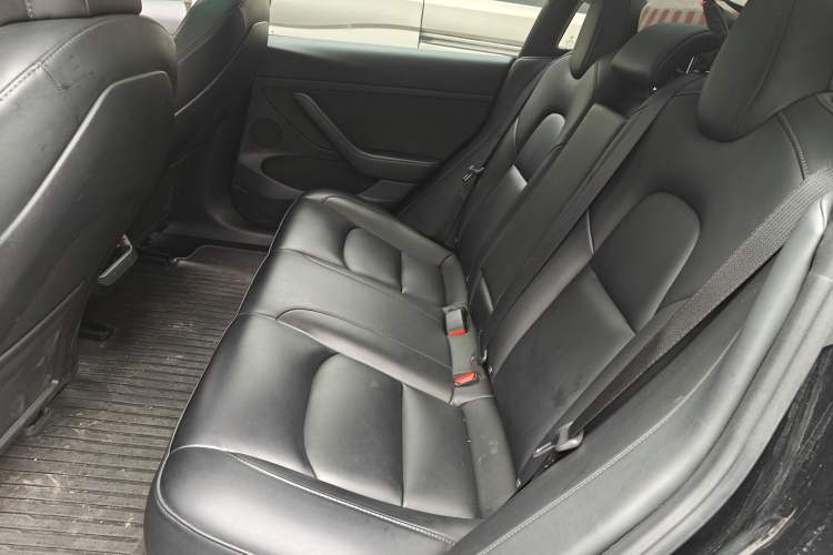 Used Tesla Model 3 2022 Rear-Wheel-Drive Version