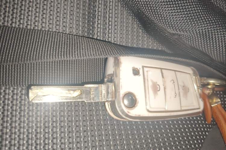 Used Volkswagen Golf 2019 280TSI DSG Comfort Version China V Standard Interior 1