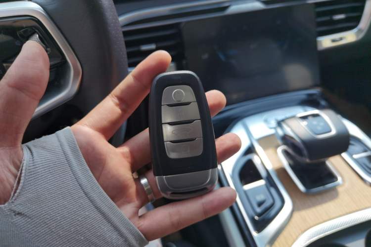 Used Hongqi E-HS9 2021 460 km Range Flagship Edition Six-Seater