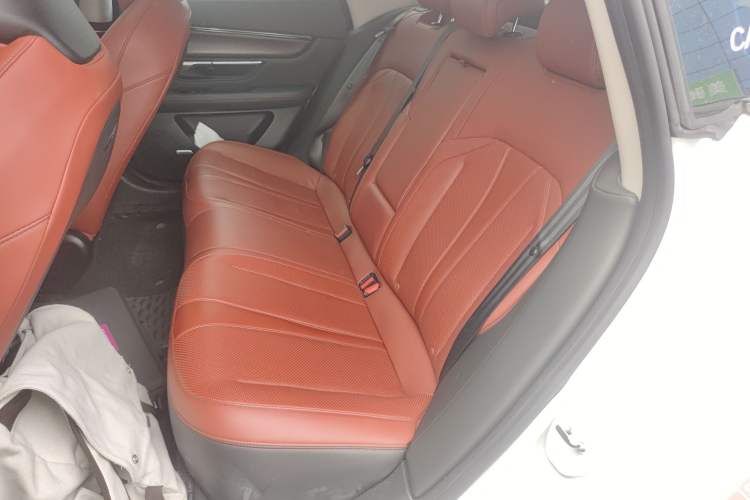 Used XPeng P7 2020 670N Left Rear Seat