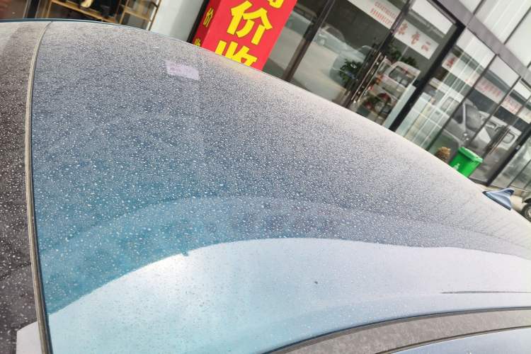 Used ORA Good Cat 2023 401 km Standard Range Luxury Version Lithium Iron Phosphate