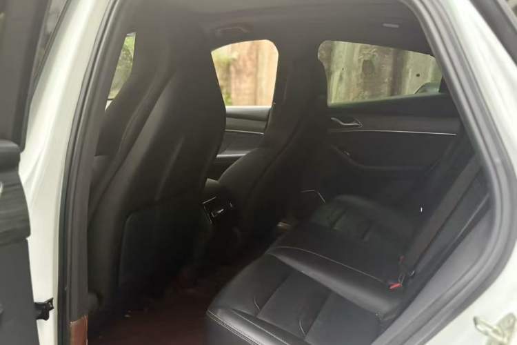 Used SERES SF5 2020 Four-Wheel Drive High-Performance Sports Edition Left Rear Seat