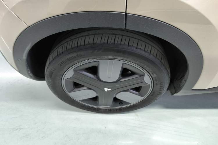 Used firefly firefly 2025 Illuminated Edition
