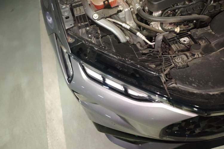 Used Ford EVOS 2022 EcoBoost 245 Sport Edition