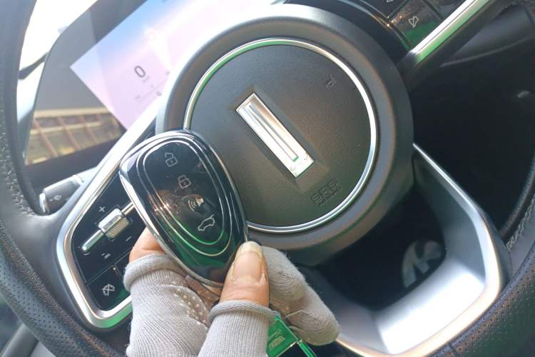 Used Wey Lanshan 2023 Two-Wheel Drive Long-Range Version