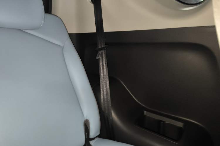 Used Chery New Energy Little Ant 2022 Sweet Pink Edition Half-Sugar Version Lithium Iron Phosphate 30 kW 301 km Left Rear Door Interior