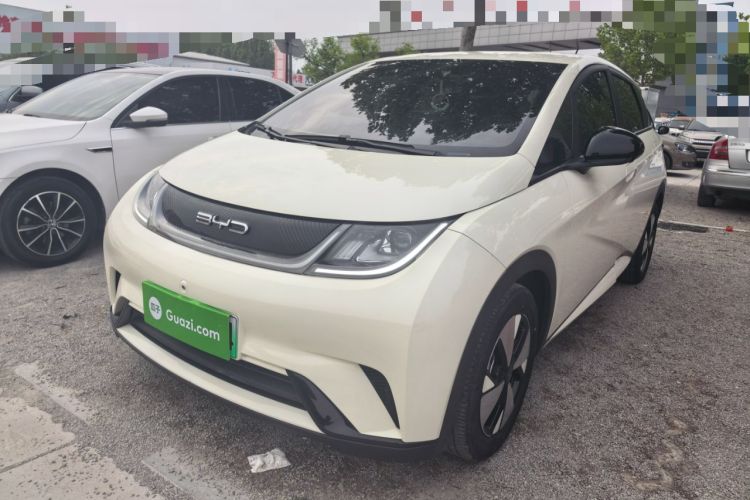 Used BYD Dolphin 2023 420 km Free Version