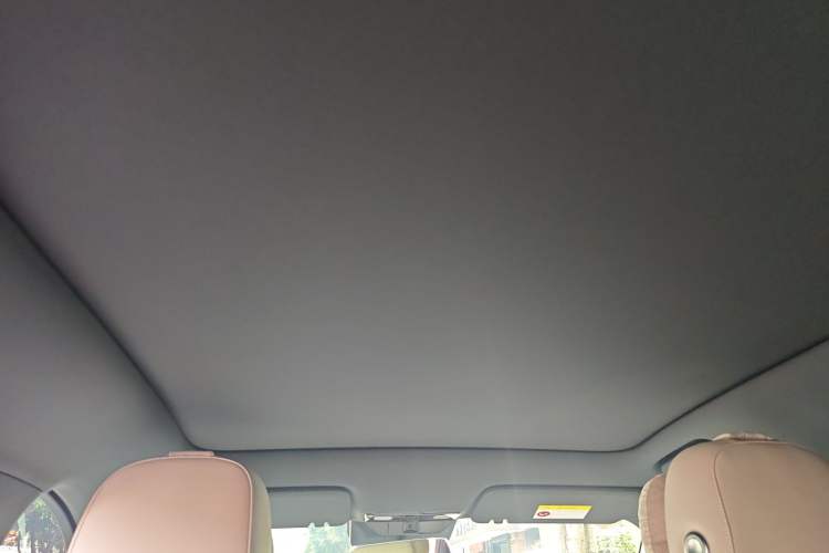 Used Li Auto L6 2024 Pro Model