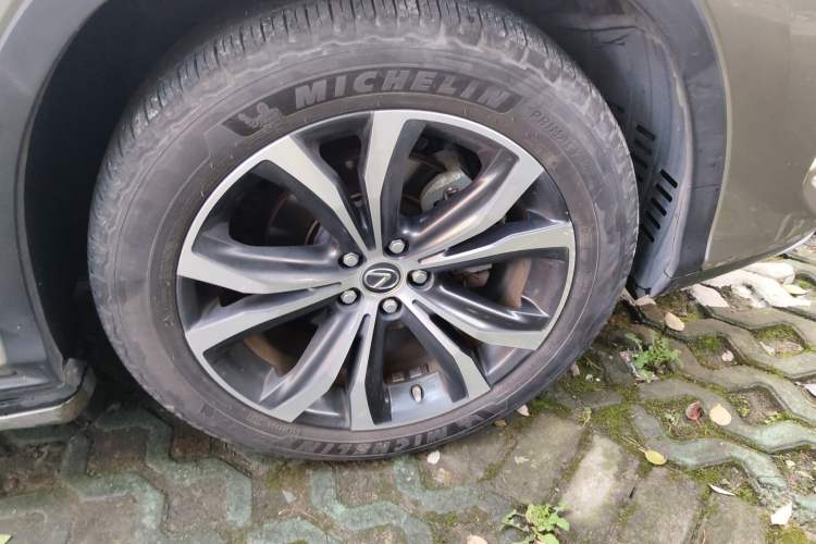 Used Lexus RX 2020 300 4x4 Elegant Edition China VI
