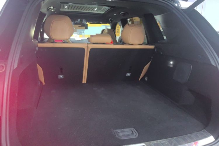 Used Lynk & Co 09 EM-P 2023 2.0TD EM-P Four-Wheel Drive Asian Games Executive Edition Five Seats
