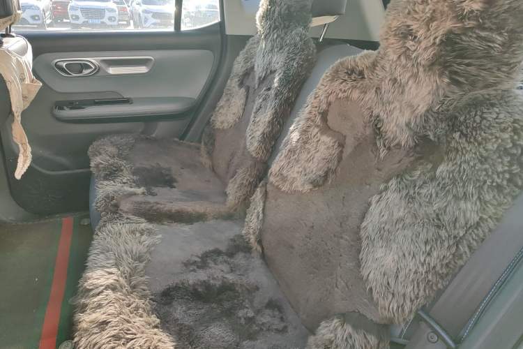 Used AION Y 2023 Younger Star Edition