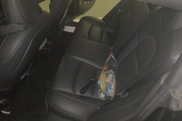 Used Tesla Model 3 2020 Revised Version Standard Range Rear-Wheel Drive – Upgraded Edition