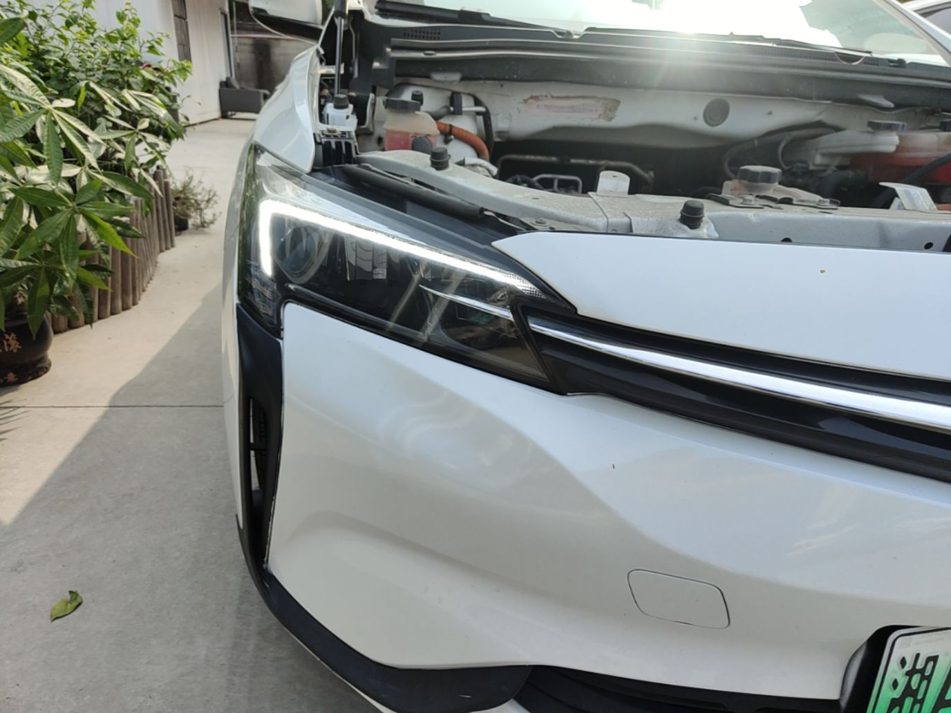  Velite 6