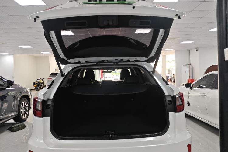 Used Lexus RX 2016 300 Two-Wheel Drive Elite Version China V Standard
