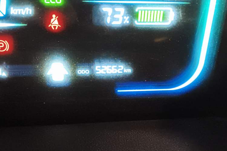 Used Qiyuan Lumin 2023 205km Xiangqin Version