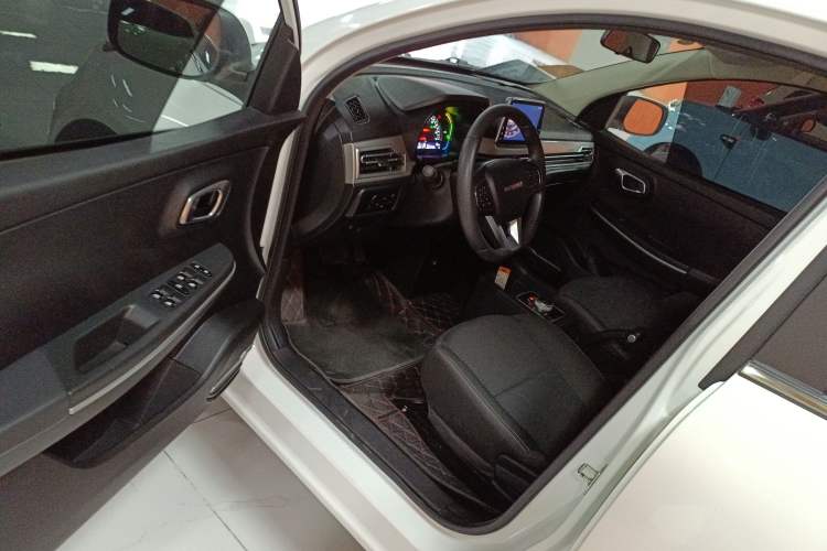 Used Dayun Yuehu 2022 30.66 kWh Two-Wheel Drive Standard Version