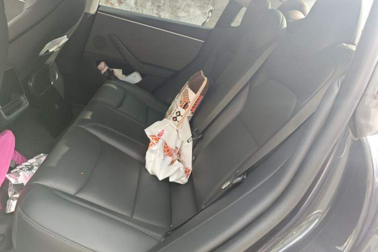 Used Tesla Model 3 2023 Rear-Wheel-Drive Version
