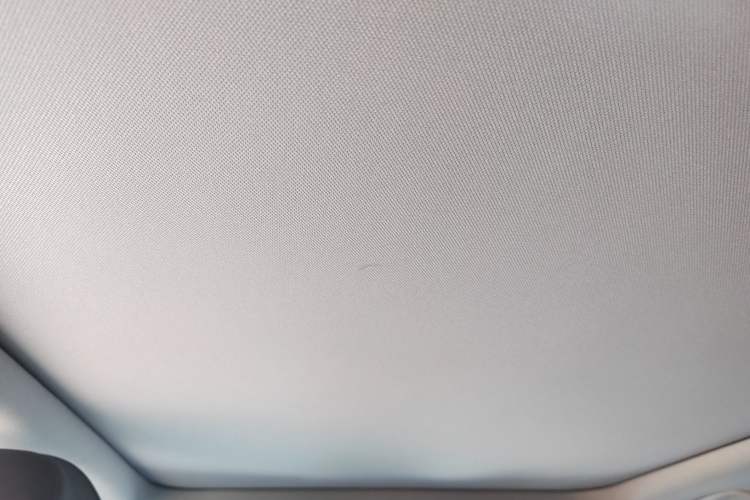 Used BMW 3 Series 2022 325Li M Sport Package Headliner