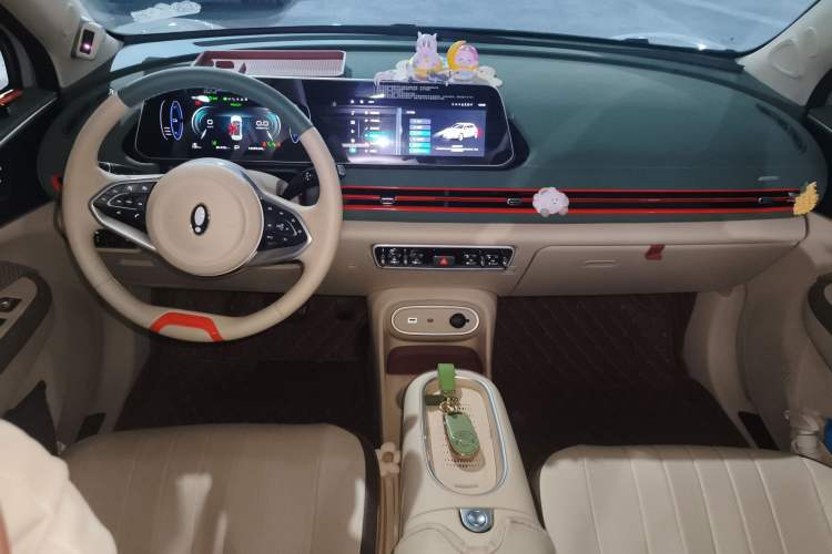 Used ORA Good Cat 2024 501 km Luxury Version Center Console