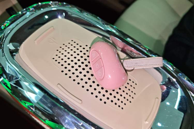 Used ORA Ballet Cat 2023 401 km Luxury Version