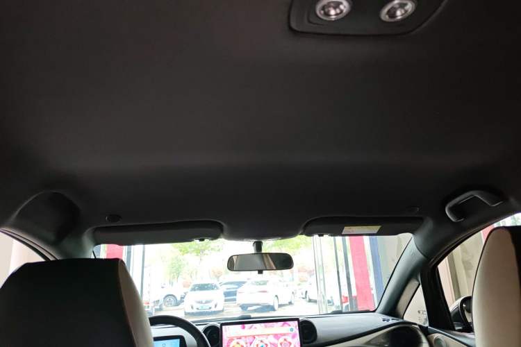 Used BYD Dolphin 2023 420 km Free Version Headliner