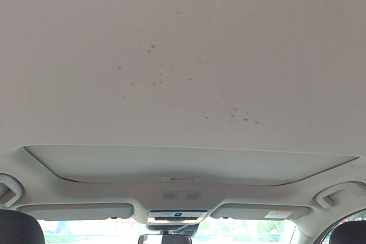 Used Nissan Sylphy 2022 1.6L XL CVT Smart Enjoyment Version
