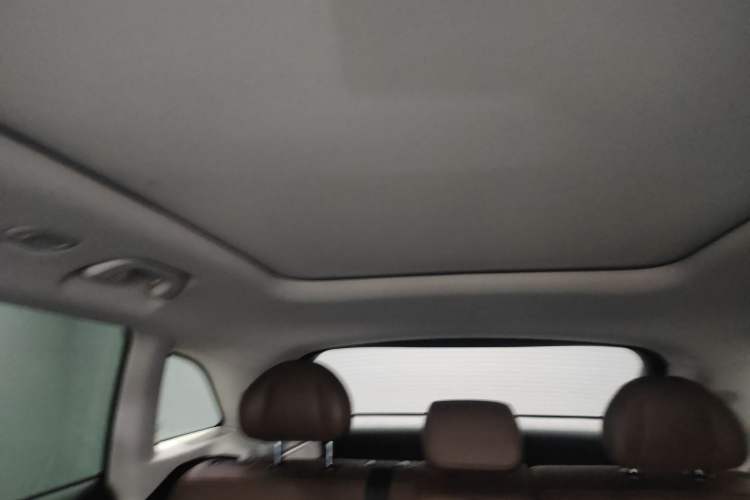 Used Leapmotor C11 2023 Pure Electric 500 Comfort Edition Headliner