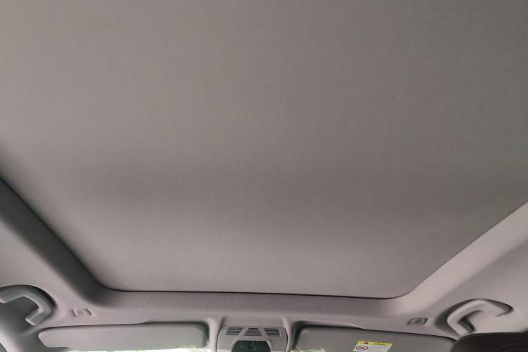 Used BMW X1 2020 sDrive20Li Fashion Model Headliner