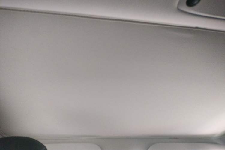 Used Tesla Model 3 2022 Rear-Wheel-Drive Version Headliner