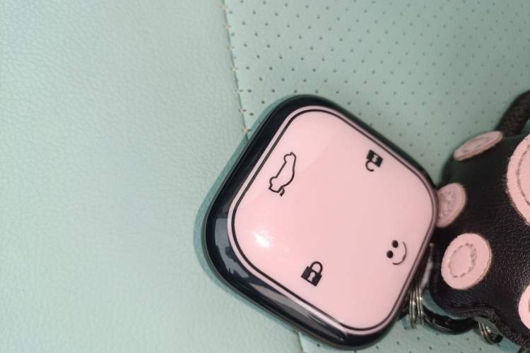 Used Qiyuan Lumin 2023 205km Xiangqin Version