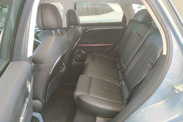 Used VOYAH FREE 2021 Two-Wheel Drive Standard Pure Electric City Edition Left Rear Seat