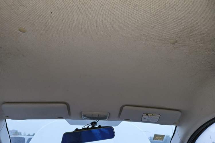 Used BAIC New Energy EC 2017 EC180 Dynamic Edition Headliner