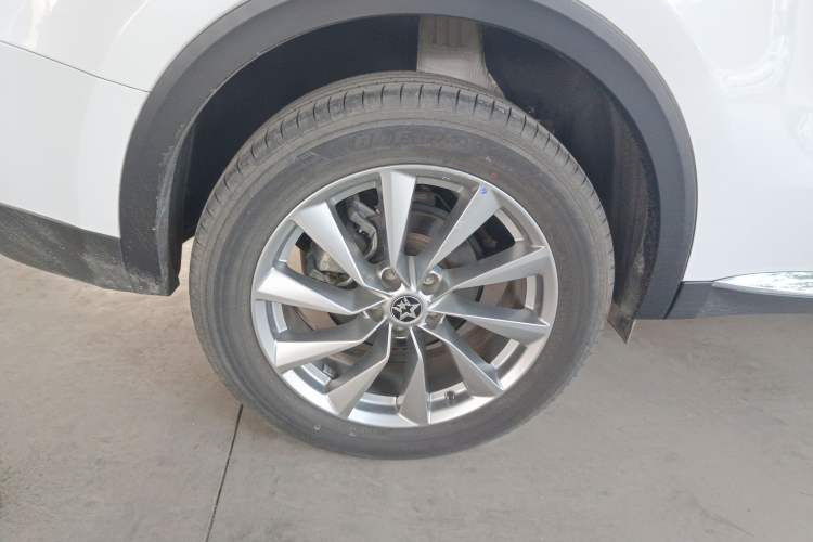 Used Venucia Star 2023 260T Starful Achievement Edition Pro