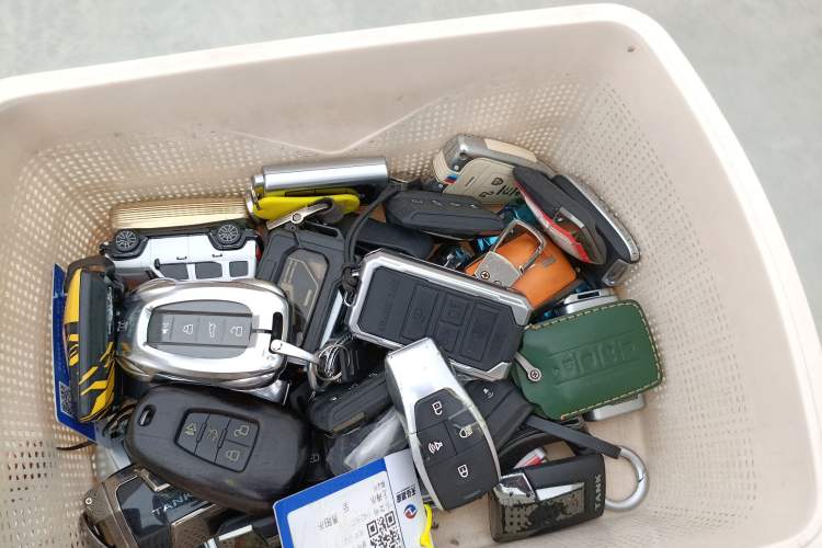 Used Cyberspace Tank 300 2021 2.0T Cyber Tank
