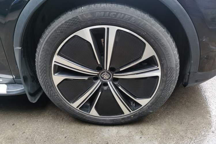 Used BYD Tang New Energy 2022 DM-p 215KM Four-Wheel Drive Flagship Model
