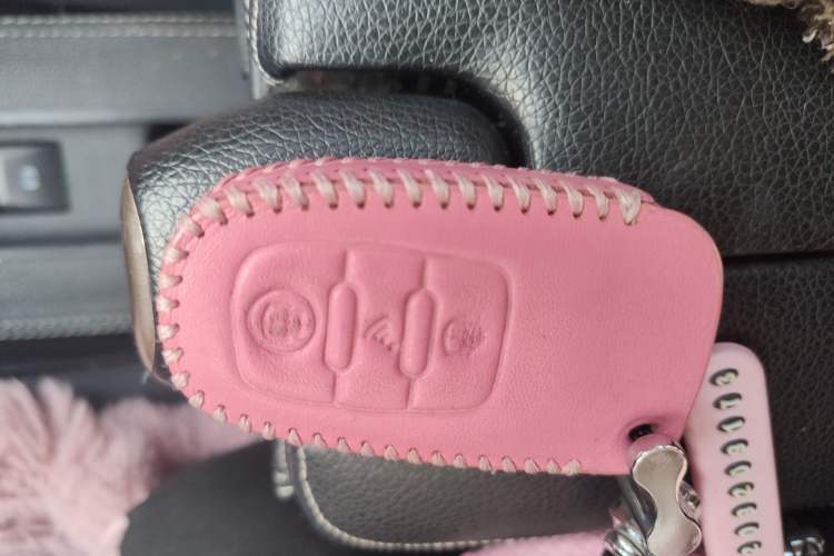 Used ORA Black Cat 2019 351 km Goddess Edition
