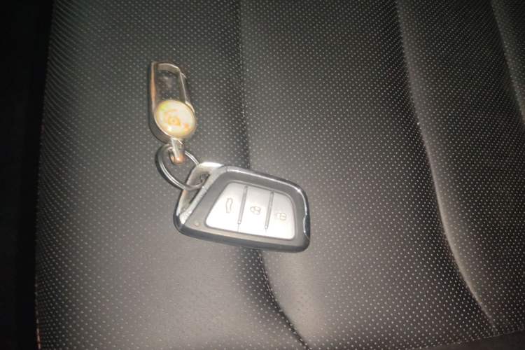 Used SOL X8 2022 Great Sage Edition 300T DCT Wanderer Model 6 Seats