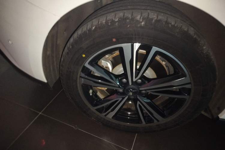 Used Hongqi EH7 2024 690 Pro Exterior 5