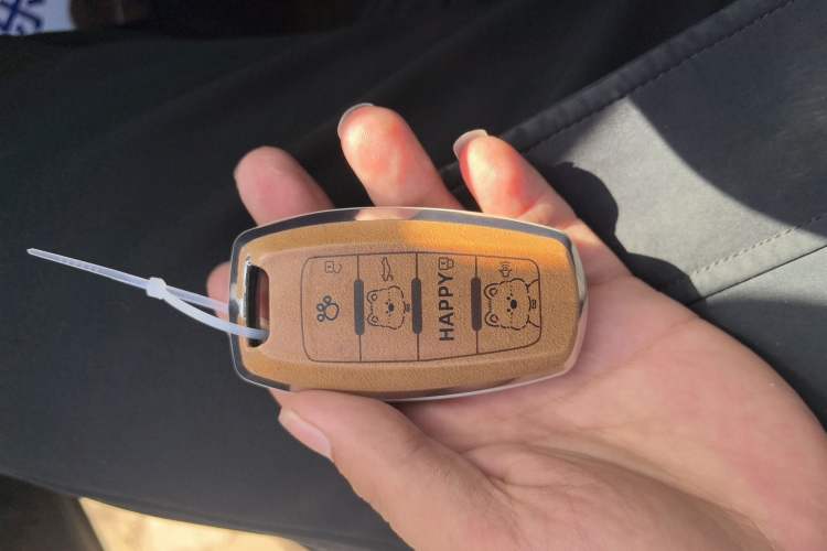 Used Haval DARGO 2024 1.5T DCT Border Collie Edition
