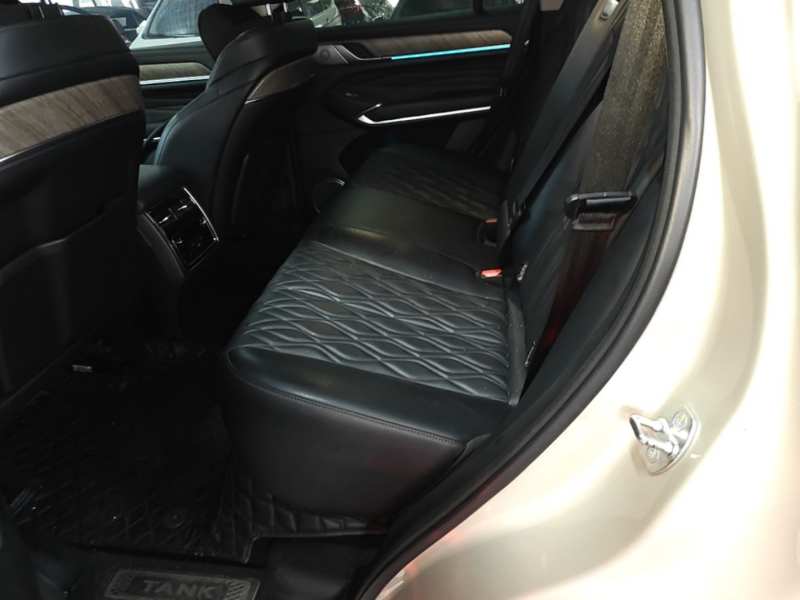 Used Tank 500 2022 3.0T Business Edition Summit Version 5 Seats — 16