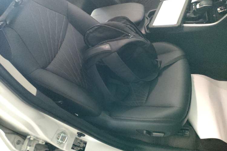 Used Toyota RAV4 2024 2.0L CVT Two-Wheel Drive Fashion Plus Edition Right Front Seat