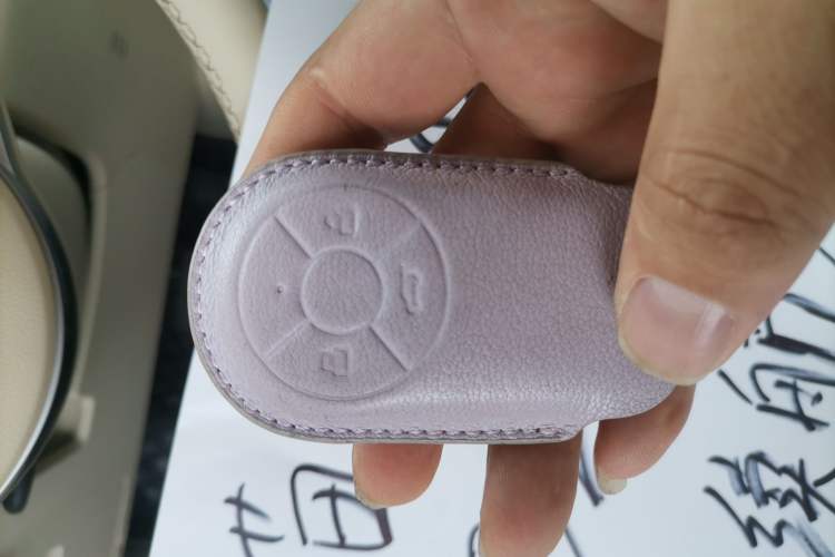 Used ORA Good Cat 2022 Morandi Edition 400km Standard Range Luxury Version Lithium Iron Phosphate Interior 1