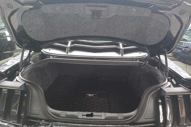 Used Ford Mustang 2019 2.3L EcoBoost
