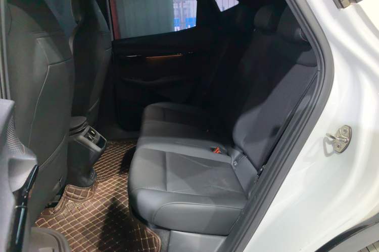 Used Volkswagen ID.UNYX 2024 Revised Pro Long-Range Version Left Rear Seat